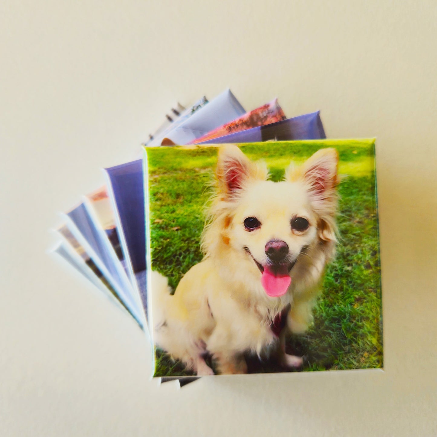Custom Square Photo Magnets - Sets of 6, 9 or 12